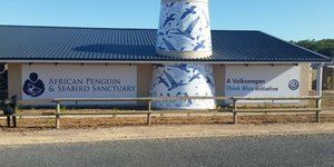 The African Penguin and Seabird Sanctuary